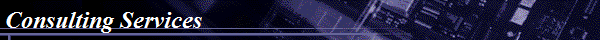 Consulting Services