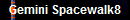 Gemini Spacewalk8