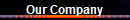 Our Company