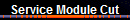 Service Module Cut